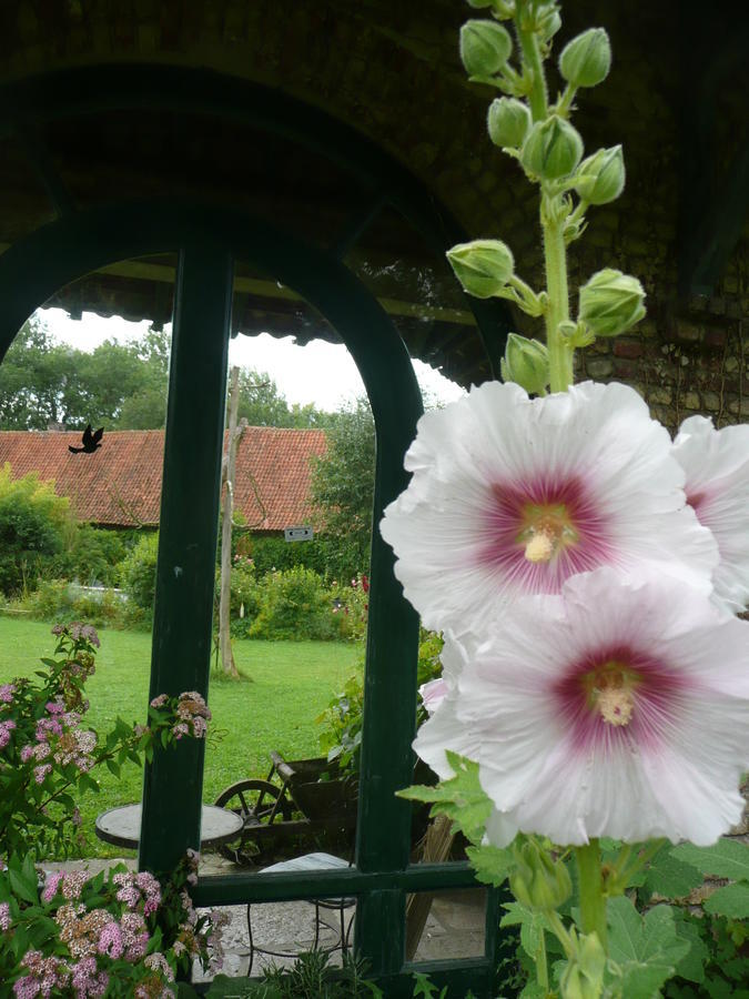 Manoir De Bois En Ardres Bed & Breakfast Luaran gambar