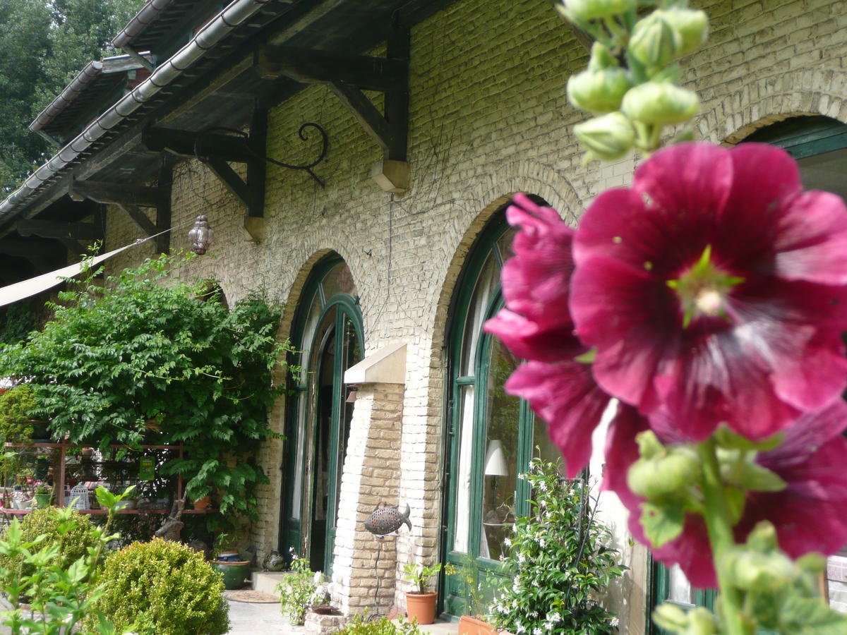 Manoir De Bois En Ardres Bed & Breakfast Luaran gambar